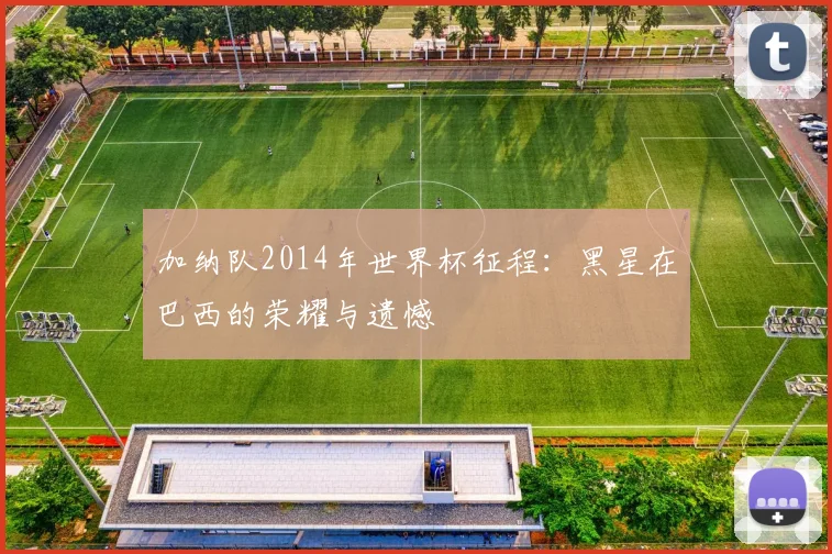 加纳队2014年世界杯征程：黑星在巴西的荣耀与遗憾