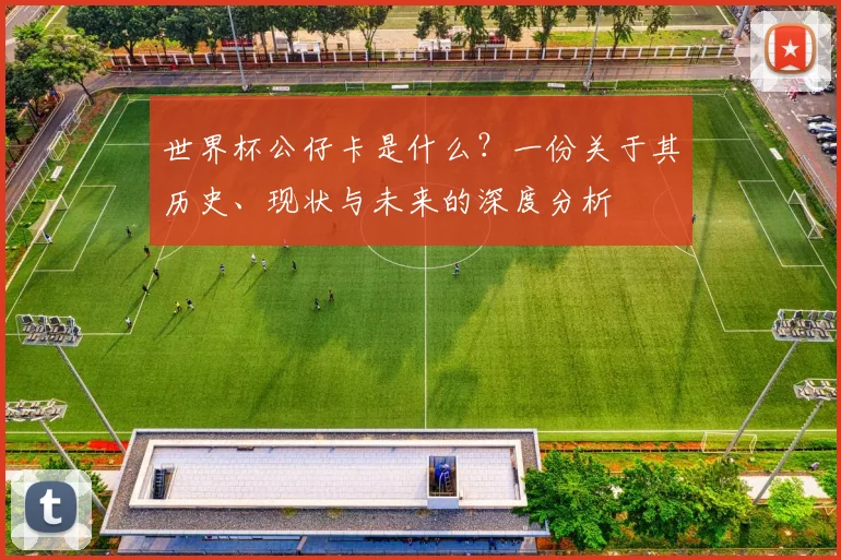 世界杯公仔卡是什么？一份关于其历史、现状与未来的深度分析