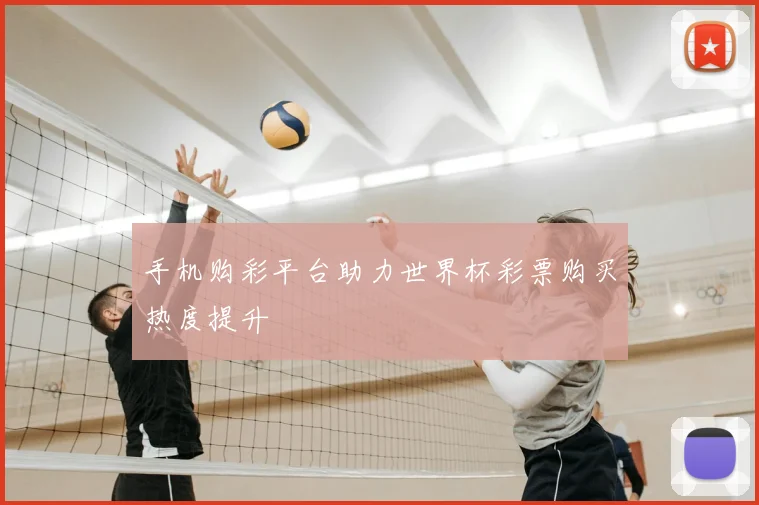 手机购彩平台助力世界杯彩票购买热度提升