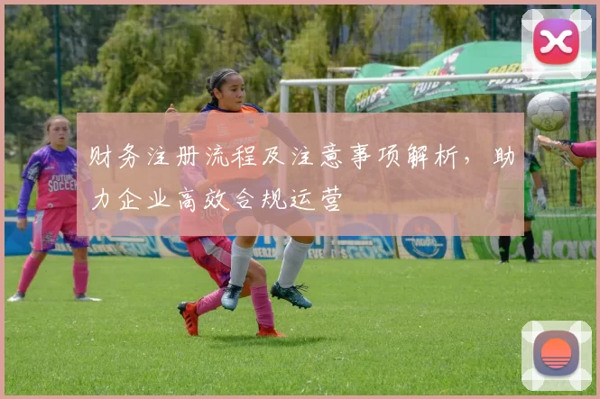 财务注册流程及注意事项解析，助力企业高效合规运营