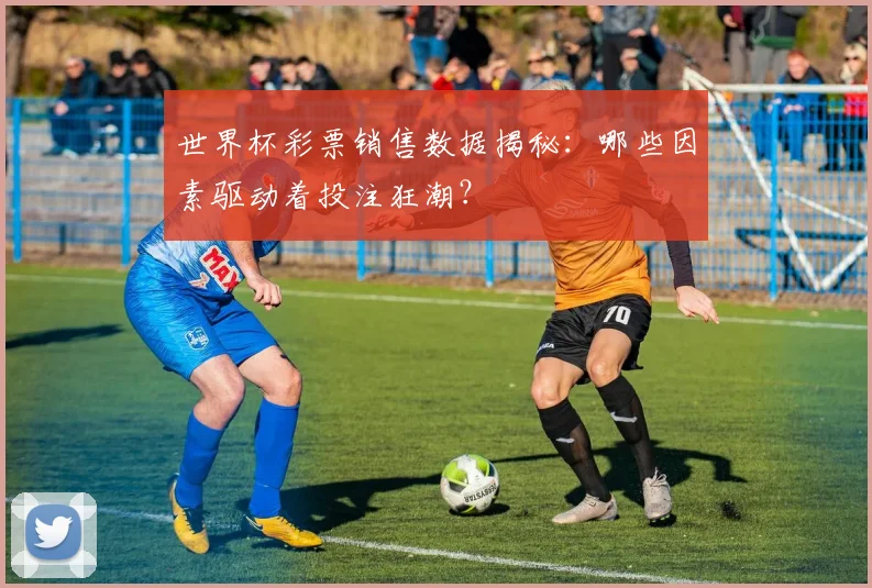世界杯彩票销售数据揭秘：哪些因素驱动着投注狂潮？