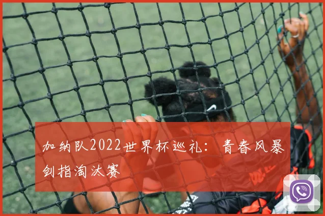 加纳队2022世界杯巡礼：青春风暴剑指淘汰赛