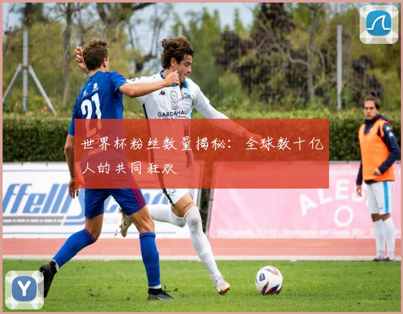 世界杯粉丝数量揭秘：全球数十亿人的共同狂欢