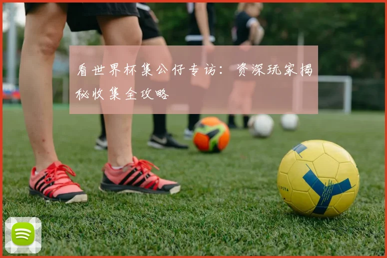看世界杯集公仔专访:资深玩家揭秘收集全攻略