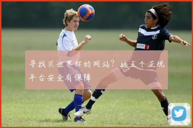 寻找买世界杯的网站？这五个正规平台安全有保障
