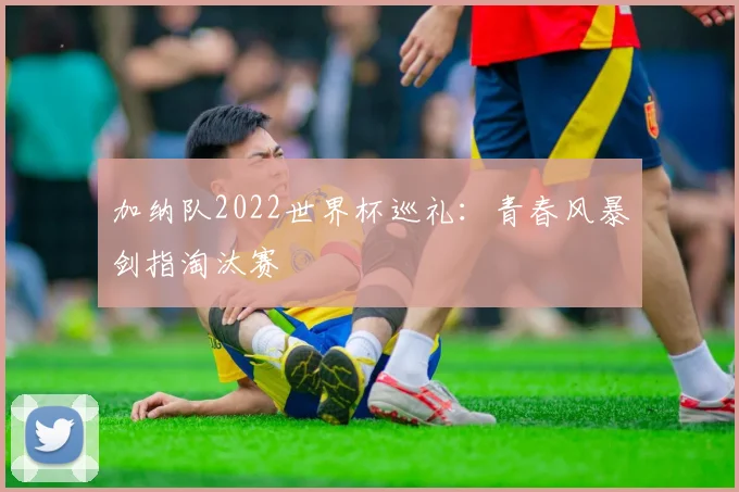 加纳队2022世界杯巡礼：青春风暴剑指淘汰赛