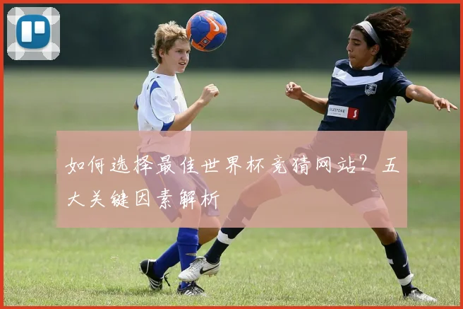 如何选择最佳世界杯竞猜网站？五大关键因素解析