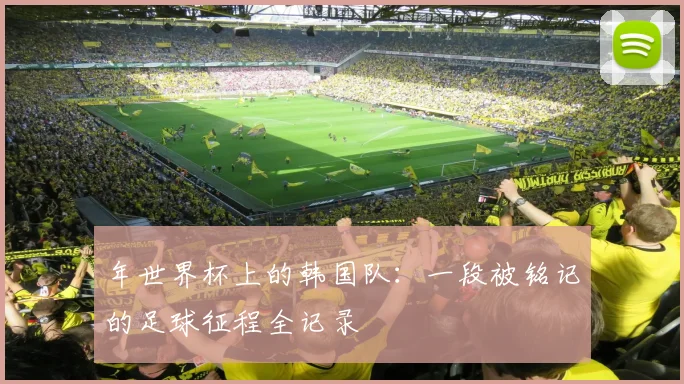 年世界杯上的韩国队：一段被铭记的足球征程全记录