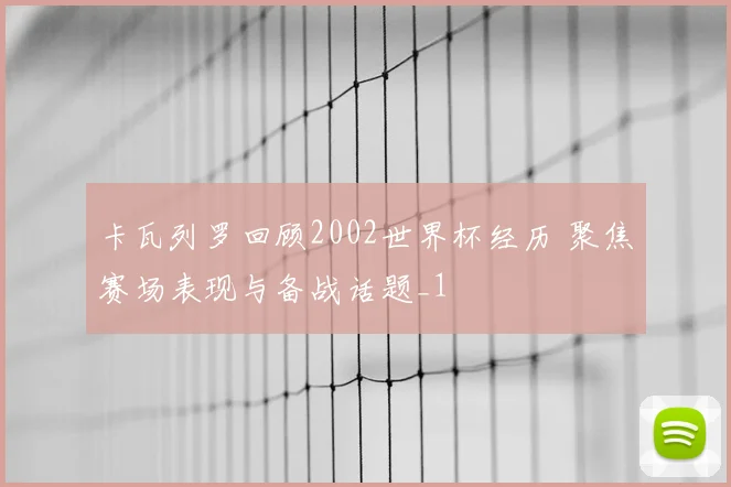 卡瓦列罗回顾2002世界杯经历 聚焦赛场表现与备战话题_1