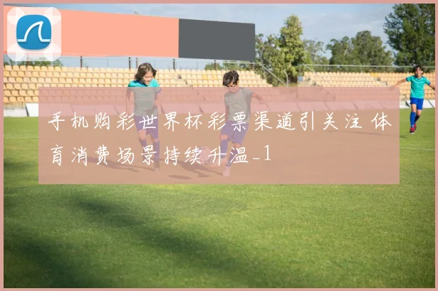 手机购彩世界杯彩票渠道引关注 体育消费场景持续升温_1