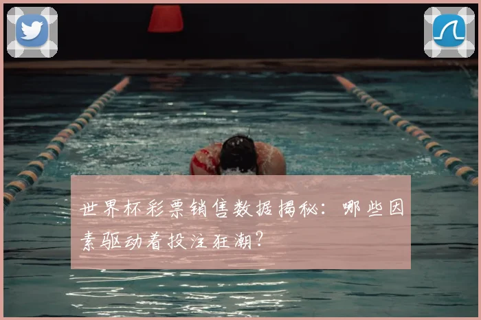 世界杯彩票销售数据揭秘：哪些因素驱动着投注狂潮？