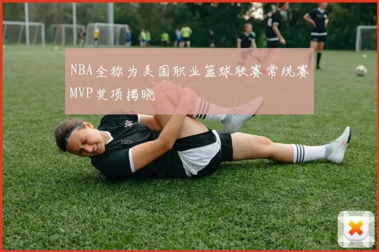 NBA全称为美国职业篮球联赛常规赛MVP奖项揭晓
